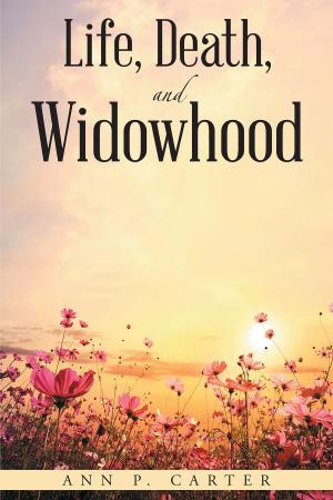 Book cover of Life, Death, and Widowhood