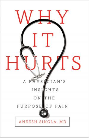 Cover of the book Why It Hurts by PERRY YOUNG ph.D