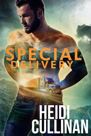 Cover of the book Special Delivery by Heidi Cullinan
