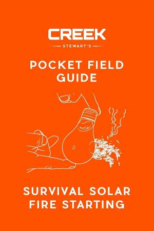 Cover of the book POCKET FIELD GUIDE by Sally Cronin