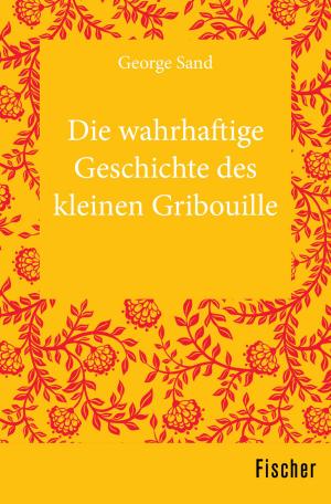 Cover of the book Die wahrhaftige Geschichte des kleinen Gribouille by Prof. Dr. Richard van Dülmen
