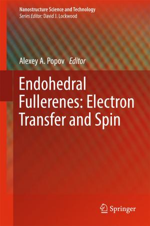 Cover of the book Endohedral Fullerenes: Electron Transfer and Spin by Manuel Trenz