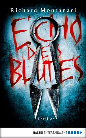 Cover of the book Echo des Blutes by Deborah Kean