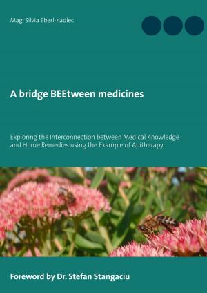 Cover of the book A bridge BEEtween medicines by Doris Richter