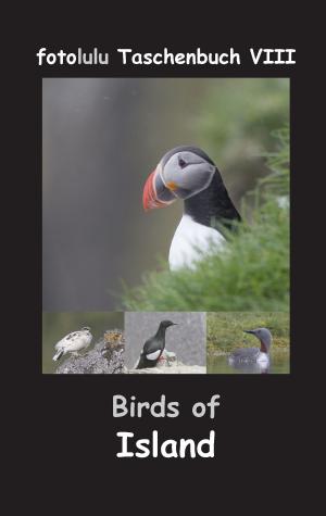 Cover of the book Birds of Island by Andreas N. Graf, Sibylle Graf