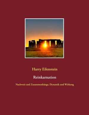 Cover of the book Reinkarnation by Ute Fischer, Bernhard Siegmund