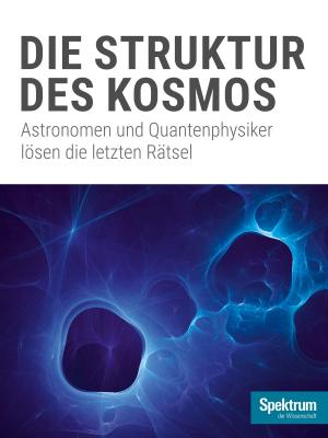 bigCover of the book Die Struktur des Kosmos by 