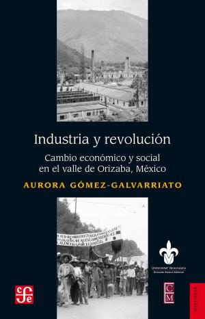 Cover of the book Industria y revolución by Marco Antonio Flores