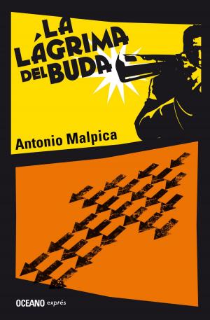 Cover of the book La lágrima del Buda by Pilar Sordo