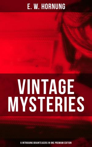 Cover of the book VINTAGE MYSTERIES – 6 Intriguing Brainteasers in One Premium Edition by Samuel Taylor Coleridge