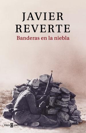Cover of the book Banderas en la niebla by Megan McDonald