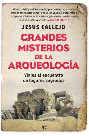 Cover of the book Grandes misterios de la arqueología by Nieves Herrero
