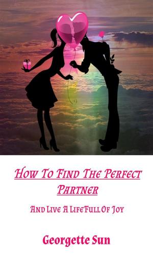 Cover of the book How To Find The Perfect Partner by Ellen Kuster