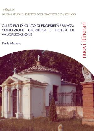 Cover of the book Gli edifici di culto di proprietà privata: condizione giuridica e ipotesi di valorizzazione by Andrea Borroni