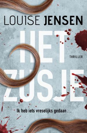 Cover of the book Het zusje by Jens Lapidus