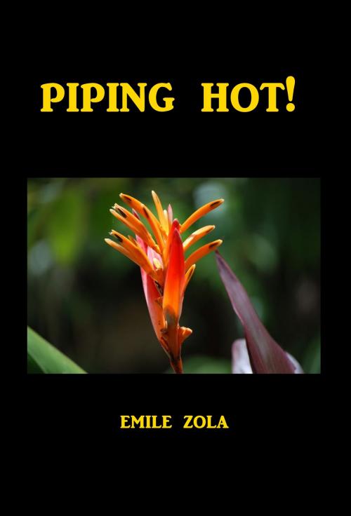 Cover of the book Piping Hot! by ÉMILE ZOLA, Green Bird Press