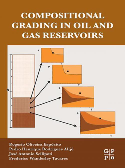 Cover of the book Compositional Grading in Oil and Gas Reservoirs by Rogerio Oliveira Esposito, Pedro Henrique Rodrigues Alijó, Jose Antonio Scilipoti, Frederico Wanderley Tavares, Elsevier Science