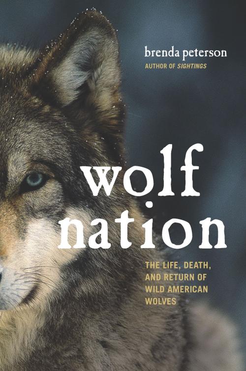 Cover of the book Wolf Nation by Brenda Peterson, Hachette Books