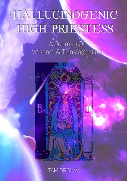 Cover of the book Hallucinogenic High Priestess by Tam Brown, Tam Brown