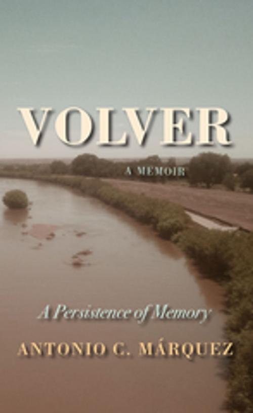 Cover of the book Volver by Antonio C. Márquez, University of New Mexico Press