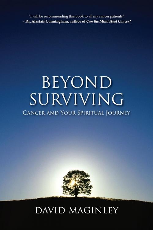 Cover of the book Beyond Surviving by David Maginley, Tristan Press