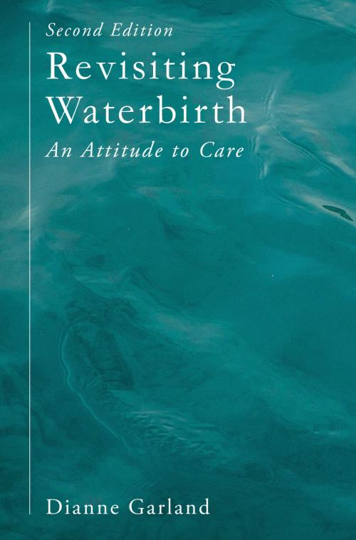 Cover of the book Revisiting Waterbirth by Dianne Garland, Macmillan Education UK