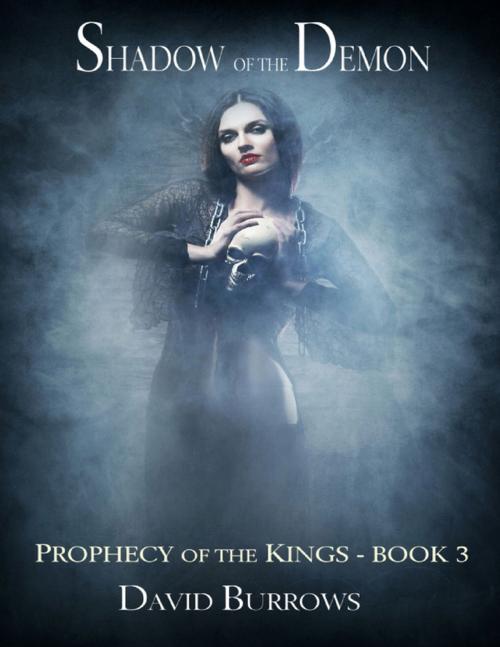 Cover of the book Shadow of the Demon - Book 3 of the Prophecy of the Kings by David Burrows, Lulu.com