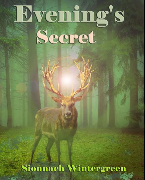 Cover of the book Evening's Secret by Sionnach Wintergreen, Sionnach Wintergreen