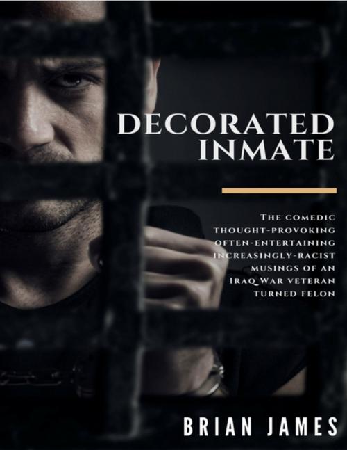 Cover of the book Decorated Inmate by Brian James, Lulu.com