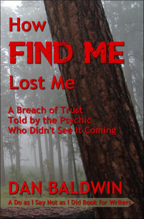 Cover of the book How FIND ME Lost Me by Dan Baldwin, Dan Baldwin