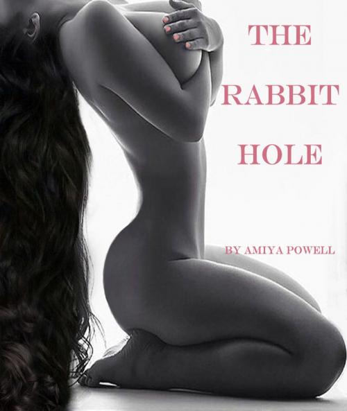 Cover of the book The Rabbit Hole by Amiya Powell, Amiya Powell