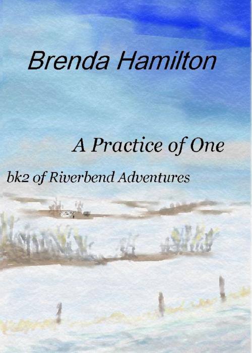 Cover of the book A Practice of One by Brenda Hamilton, Brenda Hamilton