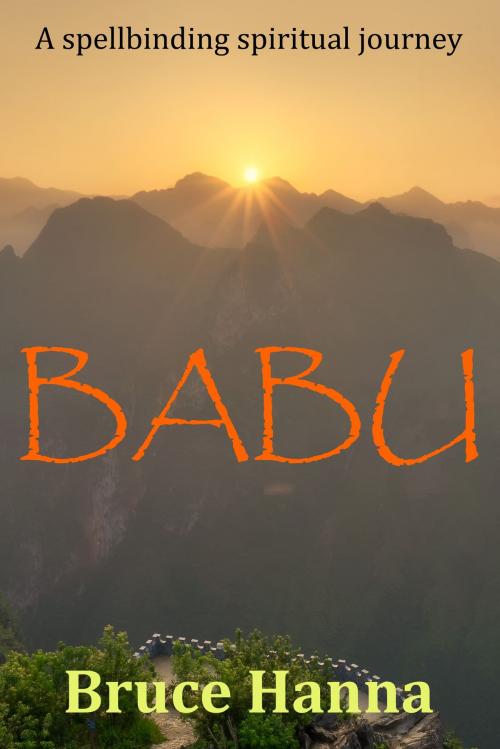 Cover of the book Babu by Bruce Hanna, Bruce Hanna