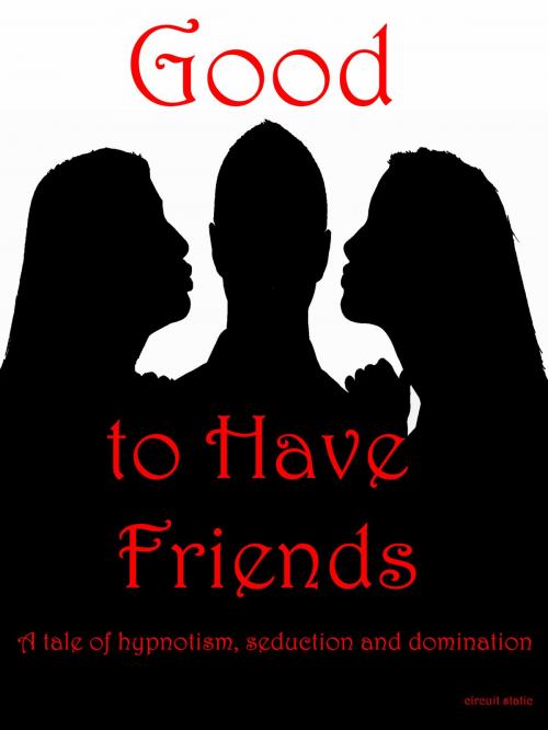 Cover of the book Good to Have Friends by Circuit Static, Circuit Static