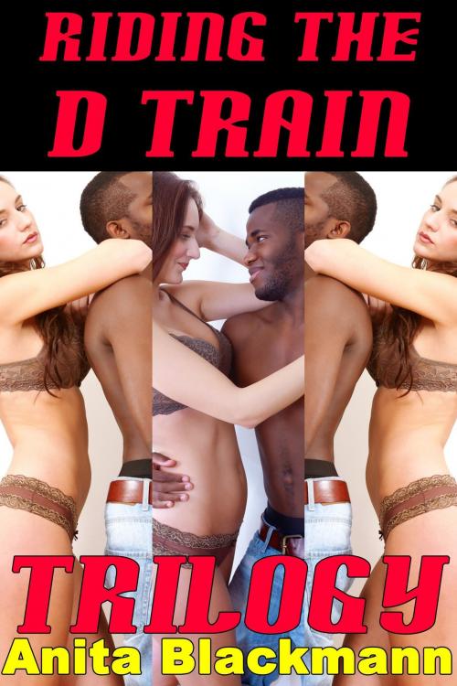 Cover of the book Riding the D Train Trilogy by Anita Blackmann, Deadlier Than the Male Publications