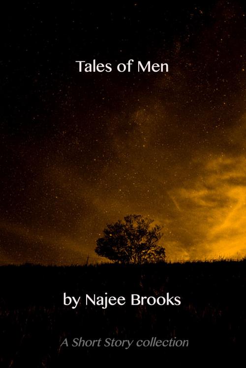 Cover of the book Tales of Men by Najee Amir, Najee Amir