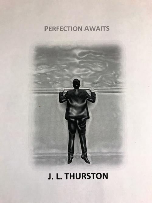 Cover of the book Perfection Awaits by J. L. Thurston, J. L. Thurston