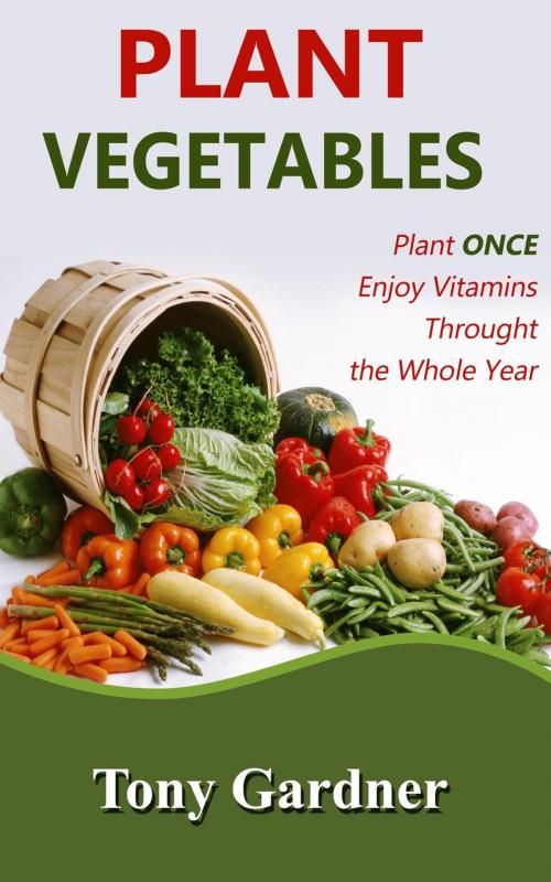 Cover of the book Plant Vegetables: Plant Once, Enjoy Vitamins Throughout the Whole Year by Tony Gardner, JVzon Studio