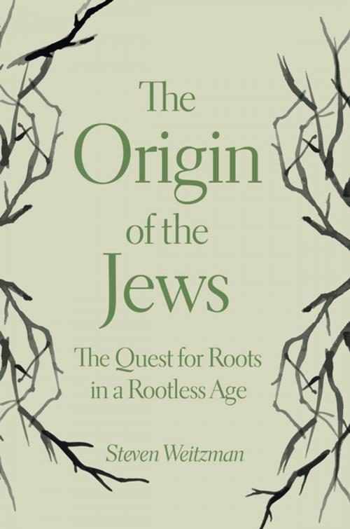 Cover of the book The Origin of the Jews by Steven Weitzman, Princeton University Press