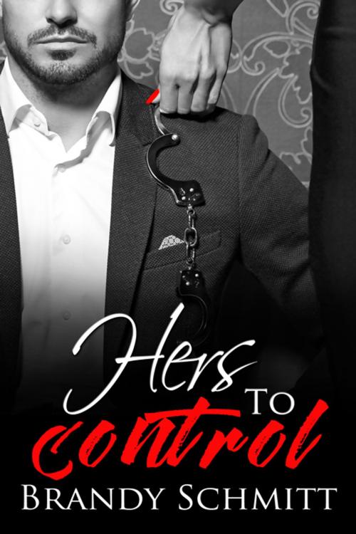 Cover of the book Hers To Control by Brandy Schmitt, The Wild Rose Press, Inc.