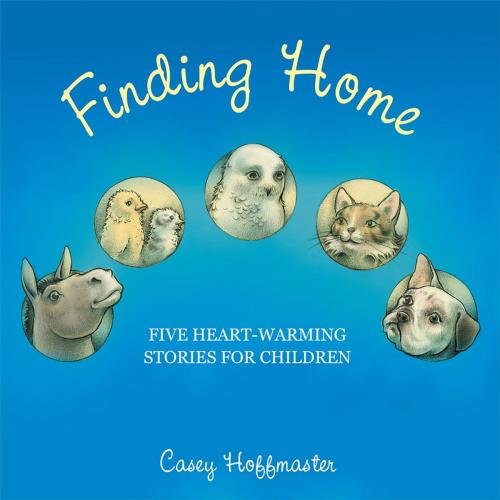 Cover of the book Finding Home by Casey Hoffmaster, WestBow Press