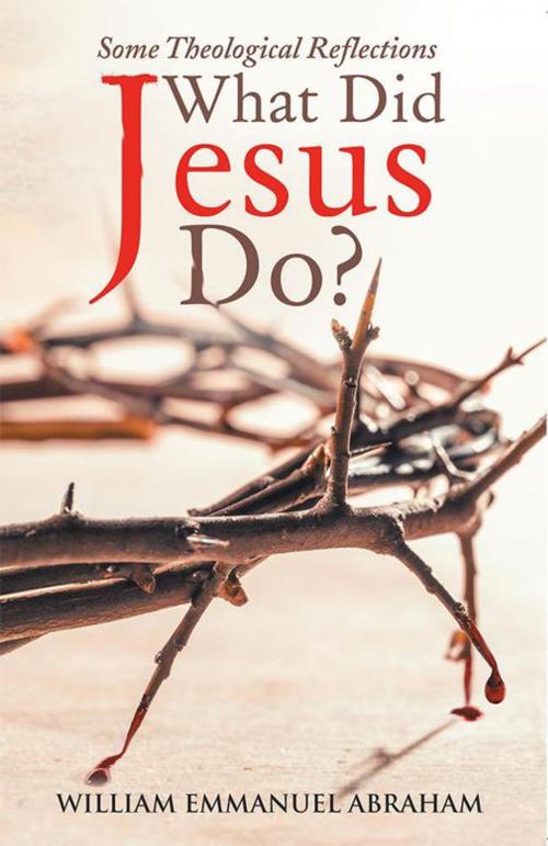 Cover of the book What Did Jesus Do? by William Emmanuel Abraham, WestBow Press