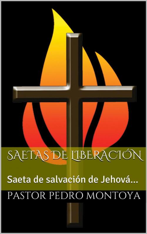 Cover of the book Saetas de Liberacion by PEDRO MONTOYA, MINISTERIO APOSTOLICO Y PROFETICO CRISTO REY