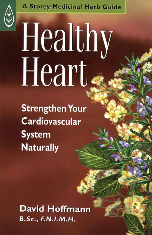 Cover of the book Healthy Heart by David Hoffmann, Storey Publishing, LLC