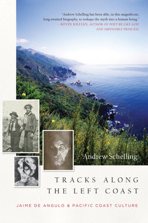 Cover of the book Tracks Along the Left Coast by Andrew Schelling, Counterpoint