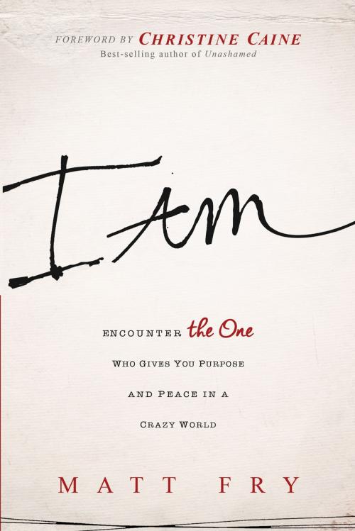 Cover of the book I Am by Matt Fry, Charisma House