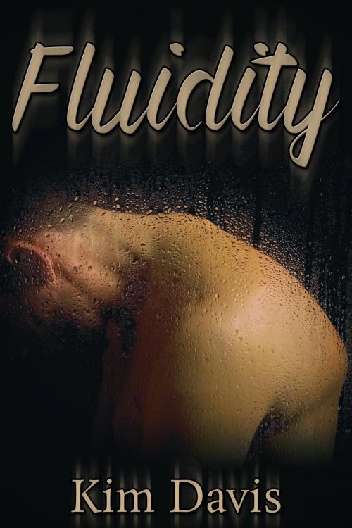Cover of the book Fluidity by Kim Davis, JMS Books LLC