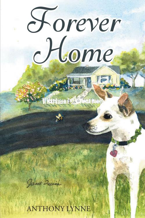 Cover of the book Forever Home by Anthony Lynne, Christian Faith Publishing