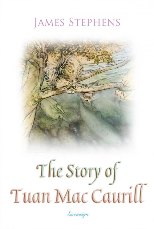 Cover of the book The Story of Tuan Mac Caurill by James Stephens, Interactive Media