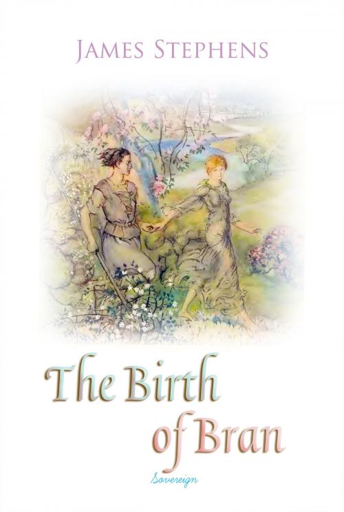 Cover of the book The Birth of Bran by James Stephens, Interactive Media